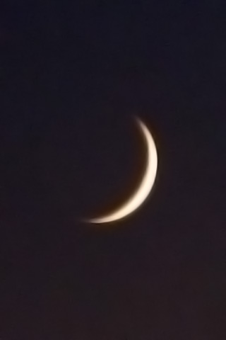 夜道の月